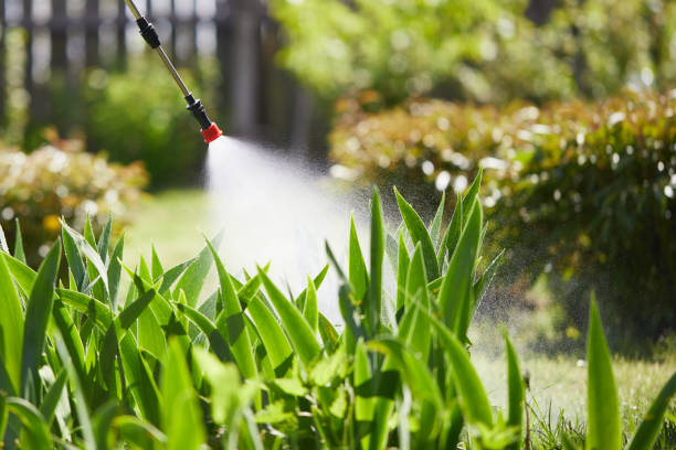 24/7 Emergency Wasp Removal experts in Williston Highlands, FL
