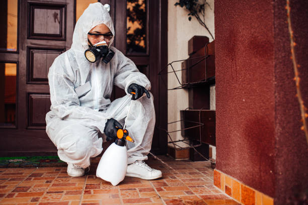Reliable Wasp Removal contractor in Williston Highlands, FL by Show Me Pest Control